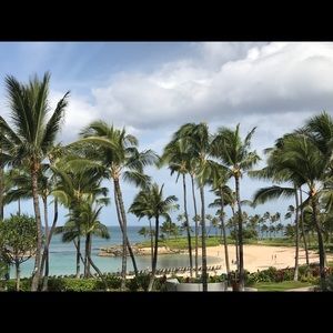 Meet your Posher, Cindie